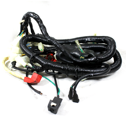 [D1-1011] Arnes Electrico