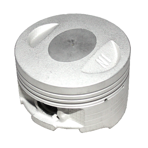 [21020116] Piston