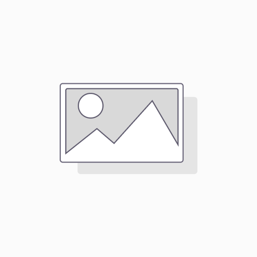 PEDAL DE FRENO TRASERO