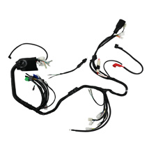 ARNES ELECTRICO 12V