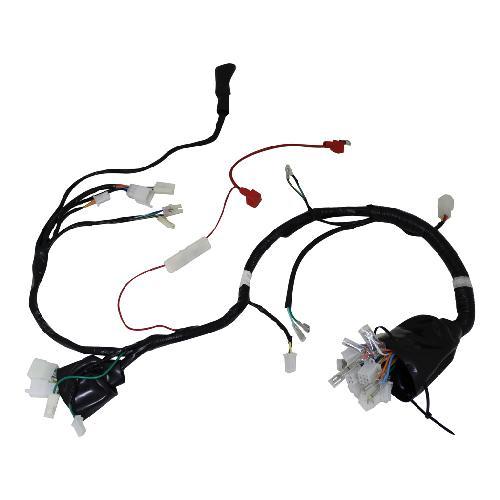 ARNES ELECTRICO