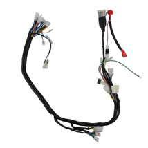 ARNES PRINCIPAL 12V