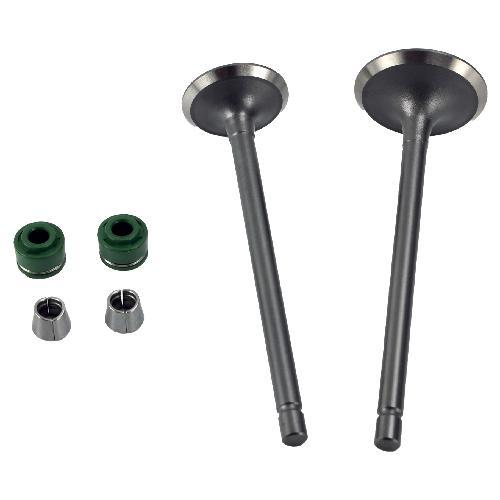 [B0-1041] VALVULA ADM/ESCAPE SET