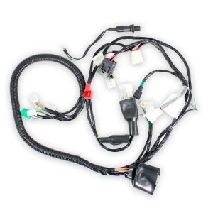 ARNES COMPLETO 12 V / 20 A