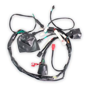 ARNES COMPLETO 12 Vcc / 20 A