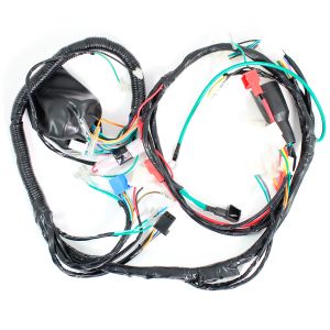 ARNES COMPLETO 12 V / 20 A