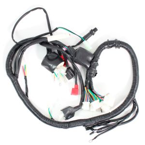 ARNES COMPLETO 12 V / 20 A