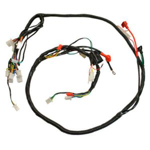 ARNES COMPLETO 12 V / 20 A