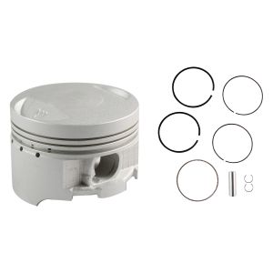 [PIC-F15] PISTON COMPLETO STD