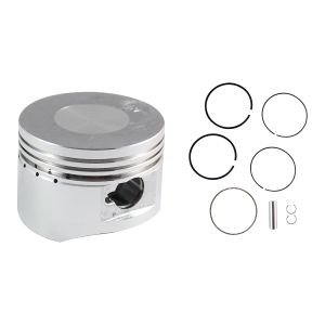 [PIC-F10] PISTON COMPLETO STD