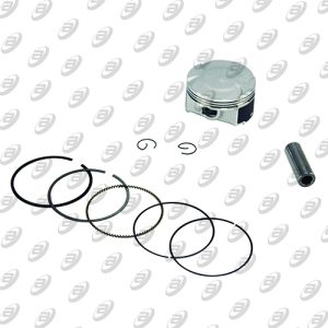 [PIC-010] PISTON COMPLETO STD