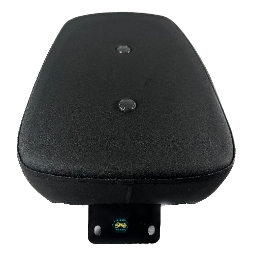 Asiento trasero/copiloto color negro. Material vinipiel
