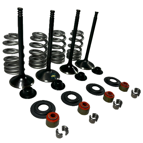 [B0-1013] Kit de valvulas de motor (Complete Valve Kit - Evolution/12009323422)