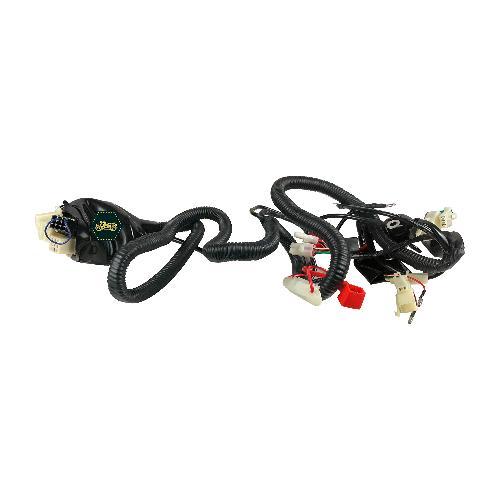 [D1-1036] Arnés Elécrico Completo Cableado Principal