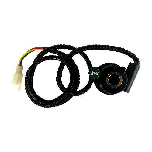 CUENTAKILOMETROS ELECTRONICO Araña sensor de velocidad millaje