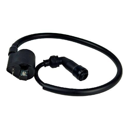 [F7-1011] BOBINA DE ENCENDIDO 12 Vcc