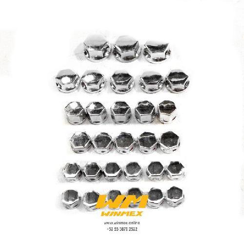 [A5-1011] Tapon de tornillo de lujo (30 piezas), color plata, material plastico