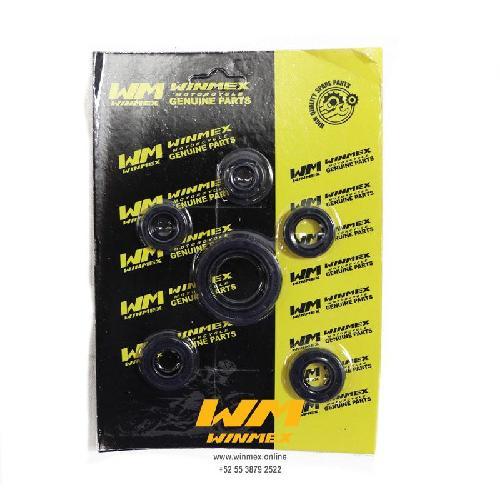 Retenes/sellos de aceite de motor juego/kit/set, incluye 6 piezas, 10x18x5, 12x20x5, 12x24x5, 12x24x5, 13x22x5.5, 25x37x6